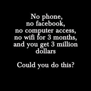 Meet your Posher, Rose